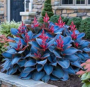 Хоста Грин Фог купить по цене от 669р. в интернет-магазине «Посадика» с доставкой почтой в в Котельниче и по всей России – [изображение №1].